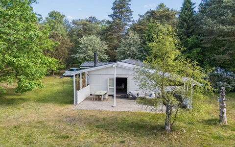 Rietrikki - 1.5Km from the Sea: Boom, Gras, Huis, Huis, Verblijf, Land Lot, Struik, Dak, Landelijk Gebied