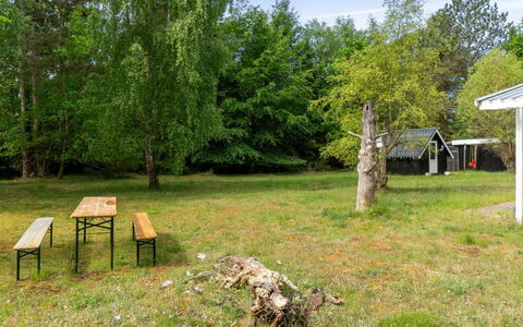 Rietrikki - 1.5Km from the Sea: Boom, Gras, Land Lot, Landelijk Gebied, Gazon, Trunk, De Lente, Bos, Tuin