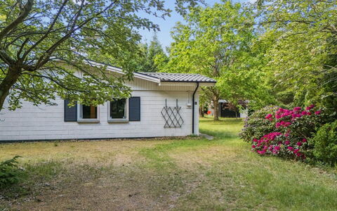 Rietrikki - 1.5Km from the Sea: Boom, Gras, Huis, Huis, Struik, Woongebied, Verblijf, Tuin, Gazon