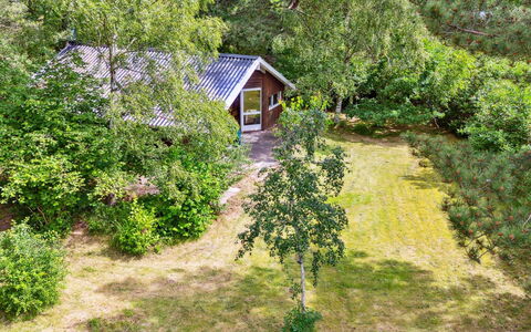 Kerrin - 300M from the Sea: Hout, Verblijf, Hardwood, Plank, Beits, Garden Gebouwen, Ontwerp, Werf, Blokhut, Backyard
