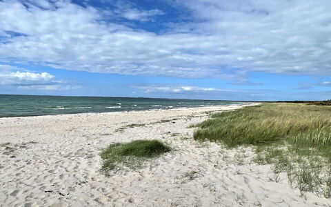 Efka - 175M from the Sea: Dak, Huis, Land Lot, Huis, Verblijf, Landgoed, Garden Gebouwen, Schaduw, Blokhut, Landscaping