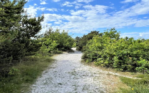 Efka - 175M from the Sea: Dak, Huis, Land Lot, Huis, Verblijf, Landgoed, Garden Gebouwen, Schaduw, Blokhut, Landscaping