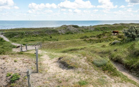 Lisbeth - 400M from the Sea: Dak, Huis, Huis, Verblijf, Siding, Landgoed, Oprit, Garden Gebouwen, Werf, Schuur