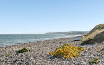 Helin - 100M from the Sea
