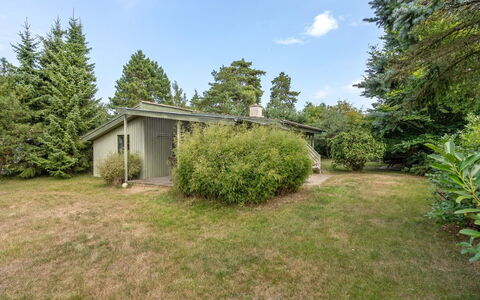 Sini - 300M from the Sea: Dak, Huis, Huis, Verblijf, Deur, Siding, Dek, Veranda, Plank, Hardwood