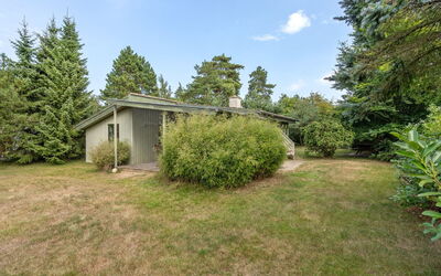 Sini - 300M from the Sea