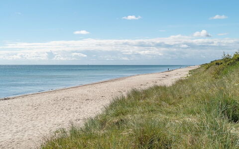 Myrra - 10M from the Sea: Dak, Huis, Huis, Verblijf, Siding, Landgoed, Oprit, Garden Gebouwen, Werf, Schuur