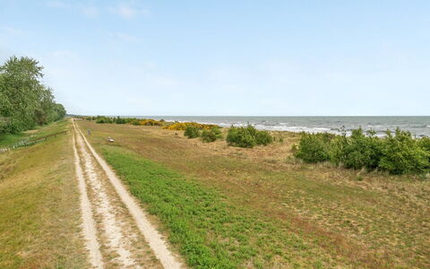 Margit - 10M from the Sea: Lucht, Horizon, Natuurlijk Landschap, Ecoregio, Plain, Grasland, Land Lot, Trail, Weide