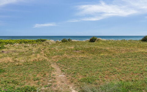 Margit - 10M from the Sea: Blauw, Groen, Natuurlijke Omgeving, Horizon, Ecoregio, Zomer, Grasland, Zee, Plantengemeenschap, Kust