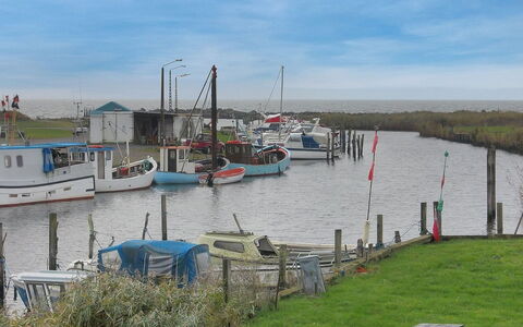 Crispina - 350M from the Sea: Dak, Huis, Land Lot, Huis, Verblijf, Landgoed, Garden Gebouwen, Schaduw, Blokhut, Landscaping