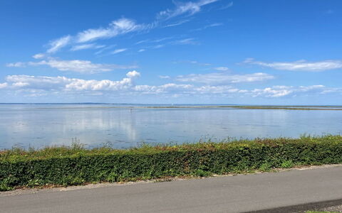 Gudke - 50M from the Sea: Meubilair, Interieur Ontwerp, Flooring, Hout, Verdieping, Plafond, Houten Vloer, Stoel, Tafel, Verlichting