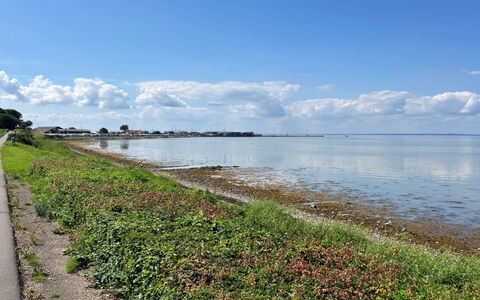 Gudke - 50M from the Sea: Meubilair, Interieur Ontwerp, Flooring, Hout, Verdieping, Plafond, Houten Vloer, Stoel, Tafel, Verlichting