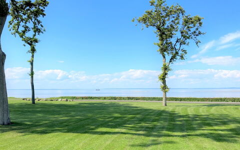 Gudke - 50M from the Sea: Meubilair, Interieur Ontwerp, Flooring, Hout, Verdieping, Plafond, Houten Vloer, Stoel, Tafel, Verlichting