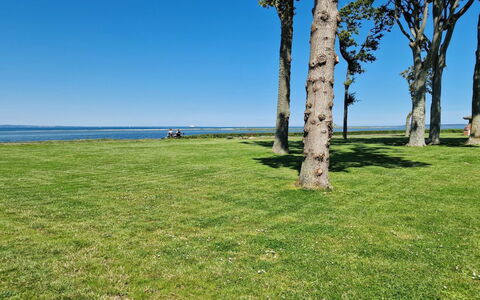 Emira - 50M from the Sea: Gras, Grasland, Landschap, Ecoregio, Plain, Plantengemeenschap, Land Lot, Buitenmeubels, Prairie, Shrubland