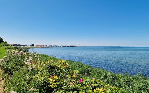 Emira - 50M from the Sea: Gras, Grasland, Landschap, Ecoregio, Plain, Plantengemeenschap, Land Lot, Buitenmeubels, Prairie, Shrubland