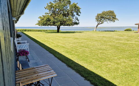 Emira - 50M from the Sea: Gras, Grasland, Landschap, Ecoregio, Plain, Plantengemeenschap, Land Lot, Buitenmeubels, Prairie, Shrubland