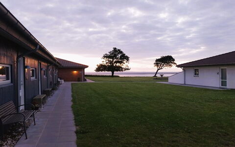 Emira - 50M from the Sea: Gras, Grasland, Landschap, Ecoregio, Plain, Plantengemeenschap, Land Lot, Buitenmeubels, Prairie, Shrubland