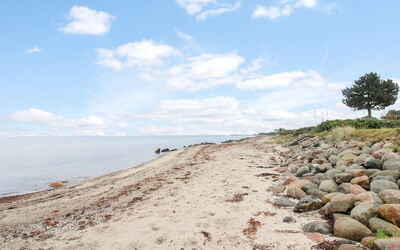 Radojka - 75M from the Sea