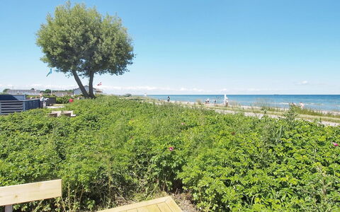 Vincent - 10M from the Sea: Blauw, Groen, Zomer, Struik, Zee, Oceaan, Kust En Oceanic Landvormen, Groundcover, Kust, Kust