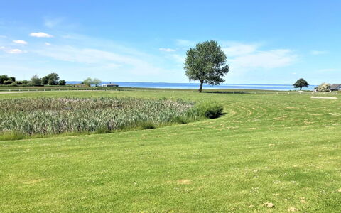 Askan - 200M from the Sea: Woongebied, Dak, Voorstad, Oprit, Landgoed, Schoorsteen