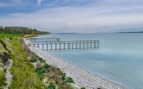 Annalia - 50M from the Sea: Hout, Tuin, Backyard, Land Lot, Huis, Dak, Schaduw, Dek, Hardwood, Werf