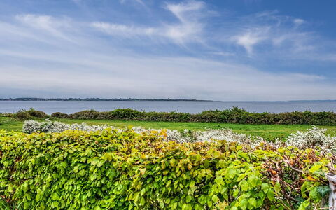 Annalia - 50M from the Sea: Blauw, Groen, Horizon, Plain, Veld, Groundcover, Plantage, Zee, Zonlicht, Landbouw