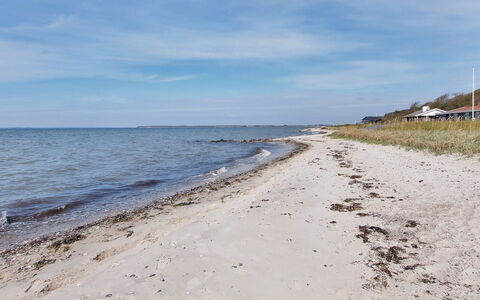 Bertold - 20M from the Sea: Blauw, Struik, Verblijf, Groundcover, Tuin, Landgoed, Schaduw, Landscaping, Boerderij, Eco Hotel
