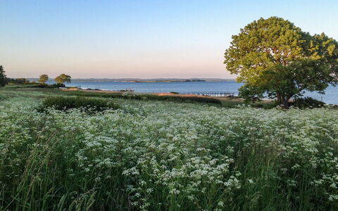 Bibi - 200M from the Sea: Blauw, Struik, Verblijf, Groundcover, Tuin, Landgoed, Schaduw, Landscaping, Boerderij, Eco Hotel