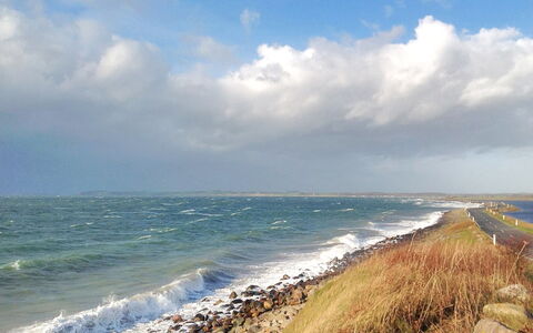 Bibi - 200M from the Sea: Blauw, Struik, Verblijf, Groundcover, Tuin, Landgoed, Schaduw, Landscaping, Boerderij, Eco Hotel