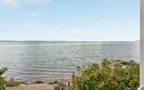 Tana - 5M from the Sea: Blauw, Struik, Verblijf, Groundcover, Tuin, Landgoed, Schaduw, Landscaping, Boerderij, Eco Hotel