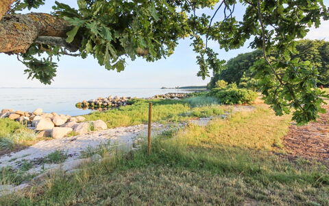 Sasser - 10M from the Sea: Blauw, Struik, Verblijf, Groundcover, Tuin, Landgoed, Schaduw, Landscaping, Boerderij, Eco Hotel