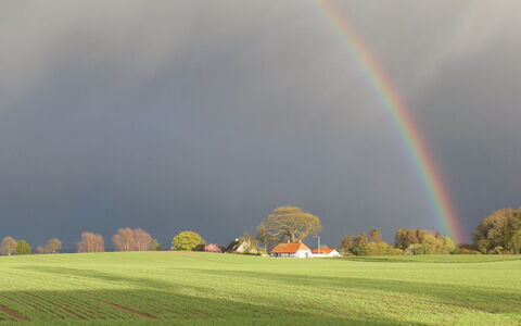 Harre - 300M from the Sea: Gras, Struik, Huis, Tuin, Huis, Verblijf, Land Lot, Gazon, Groundcover