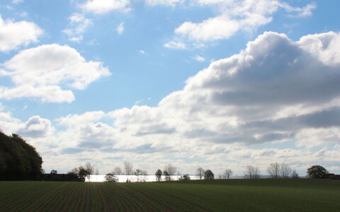Harre - 300M from the Sea: Gras, Struik, Huis, Tuin, Huis, Verblijf, Land Lot, Gazon, Groundcover
