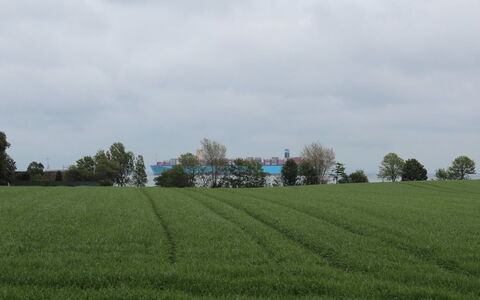 Harre - 300M from the Sea: Gras, Struik, Huis, Tuin, Huis, Verblijf, Land Lot, Gazon, Groundcover