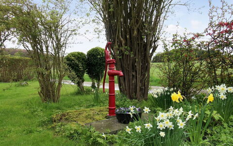 Harre - 300M from the Sea: Bloem, Struik, Tuin, De Lente, Gazon, Landscaping, Kruidachtige Plant, Werf