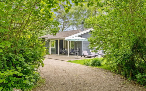 Felisa - 300M from the Sea: Struik, Huis, Huis, Verblijf, Tuin, Groundcover, De Lente, Schaduw, Siding