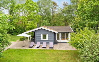 Felisa - 300M from the Sea