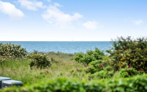 Emin - 100M from the Sea: Lucht, Blauw, Dag, Groen, Horizon, Vegetation, Zomer, Zee, Struik, Plantengemeenschap