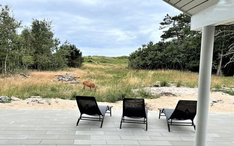 Jorn - 75M from the Sea: Huis, Dak, Huis, Verblijf, Schuur, Garden Gebouwen, Siding, Werf, Blokhut, Hut