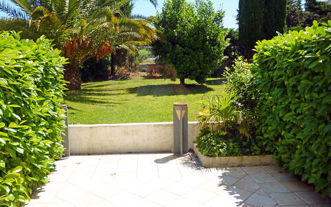 Saint-Tropez 515: Fabriek, Lucht, Plantengemeenschap, Blad, Groen, Natuurlijk Landschap, Boom, Land Lot, Architectuur, Weg Oppervlak