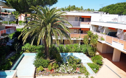 Saint-Tropez 515: Fabriek, Dag, Gebouw, Boom, Lucht, Zwembad, Stedelijk Ontwerp, Arecales, Condominium, Buurt