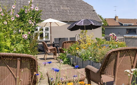 Evje - 250M from the Sea: Bloem, Struik, Bloempot, Meubilair, Buitenmeubels, Verblijf, Huis, Tuin, Stoel