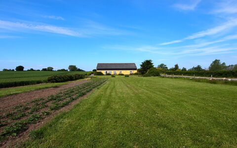 Joran - 120M from the Sea: Groen, Gras, Grasland, Plain, Landelijk Gebied, Veld, Landschap, Land Lot, Ecoregio, Pasture