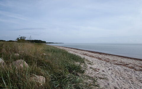 Joran - 120M from the Sea: Lucht, Kust, Strand, Horizon, Kust En Oceanic Landvormen, Kust, Zee, Zomer, Ecoregio