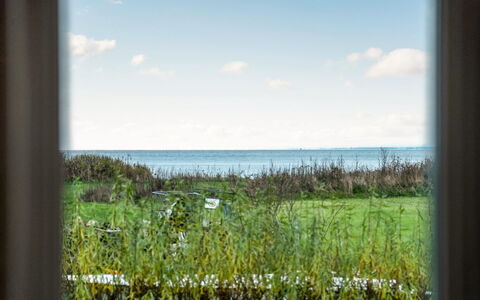 Joran - 120M from the Sea: Groen, Natuurlijk Landschap, Ecoregio, Wolk, Plain, Zee, Ochtend, Prairie, Zonlicht, Oceaan