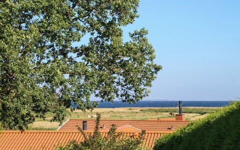 Roel - 500M from the Sea: Blauw, Groen, Blad, Plain, Land Lot, Landelijk Gebied, Ochtend, Zonlicht, Woody Plant, Schaduw