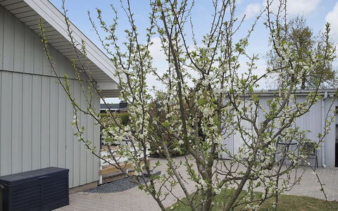 Stenkil - 250M from the Sea: Dak, Huis, Huis, Verblijf, Deur, Siding, Dek, Veranda, Plank, Hardwood