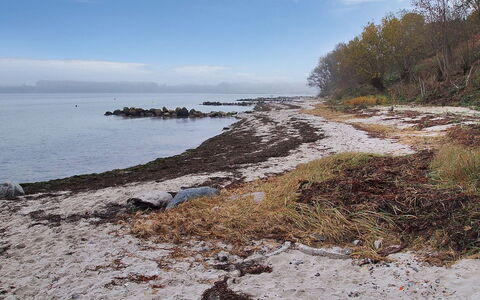 Majbritt - 50M from the Sea: Water, Zwemwater, Natuurlijke Omgeving, Kust, Kust En Oceanic Landvormen, Kust,  Felsen\, Zee, Bank, Strand