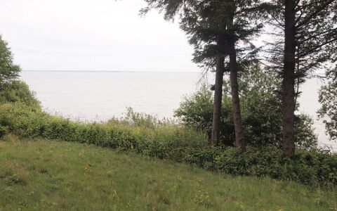 Pirjo - 50M from the Sea: Dak, Huis, Land Lot, Huis, Verblijf, Landgoed, Garden Gebouwen, Schaduw, Blokhut, Landscaping