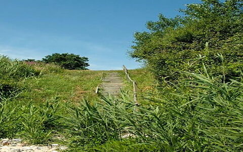 Pirjo - 50M from the Sea: Dak, Huis, Land Lot, Huis, Verblijf, Landgoed, Garden Gebouwen, Schaduw, Blokhut, Landscaping